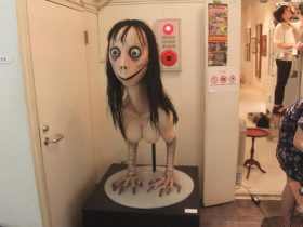 mi az a momo